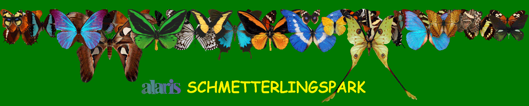 alaris-rand-oben-gruen-ml